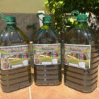 comprar aceite oliva virgen cooperativa cebolla