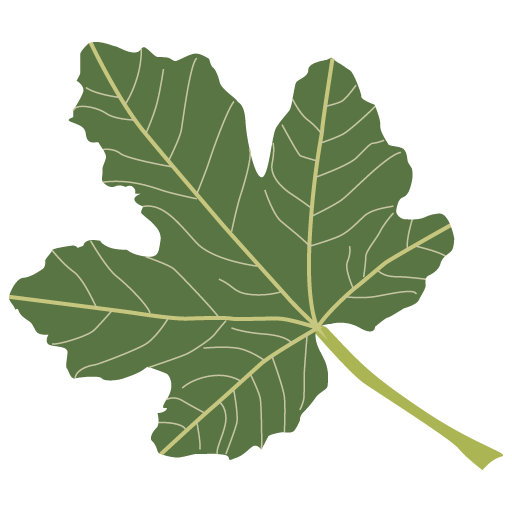 Cooperativa Aceites y Frutas de cebolla